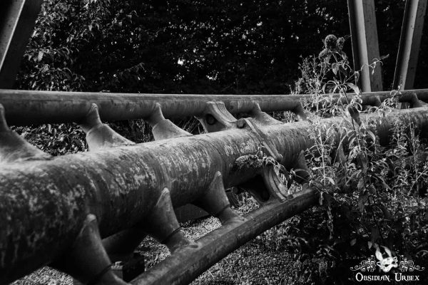 Camelot Theme Park England UK Nature Takes Over Abandoned Rides