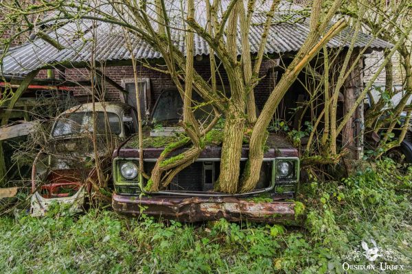 Biofuel Farm Belgium Rusting Pickup Truck Overgrown
