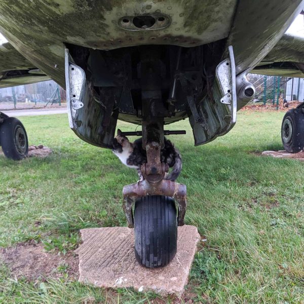 The Baltics Tour 2019 Cat Guards MiG 15