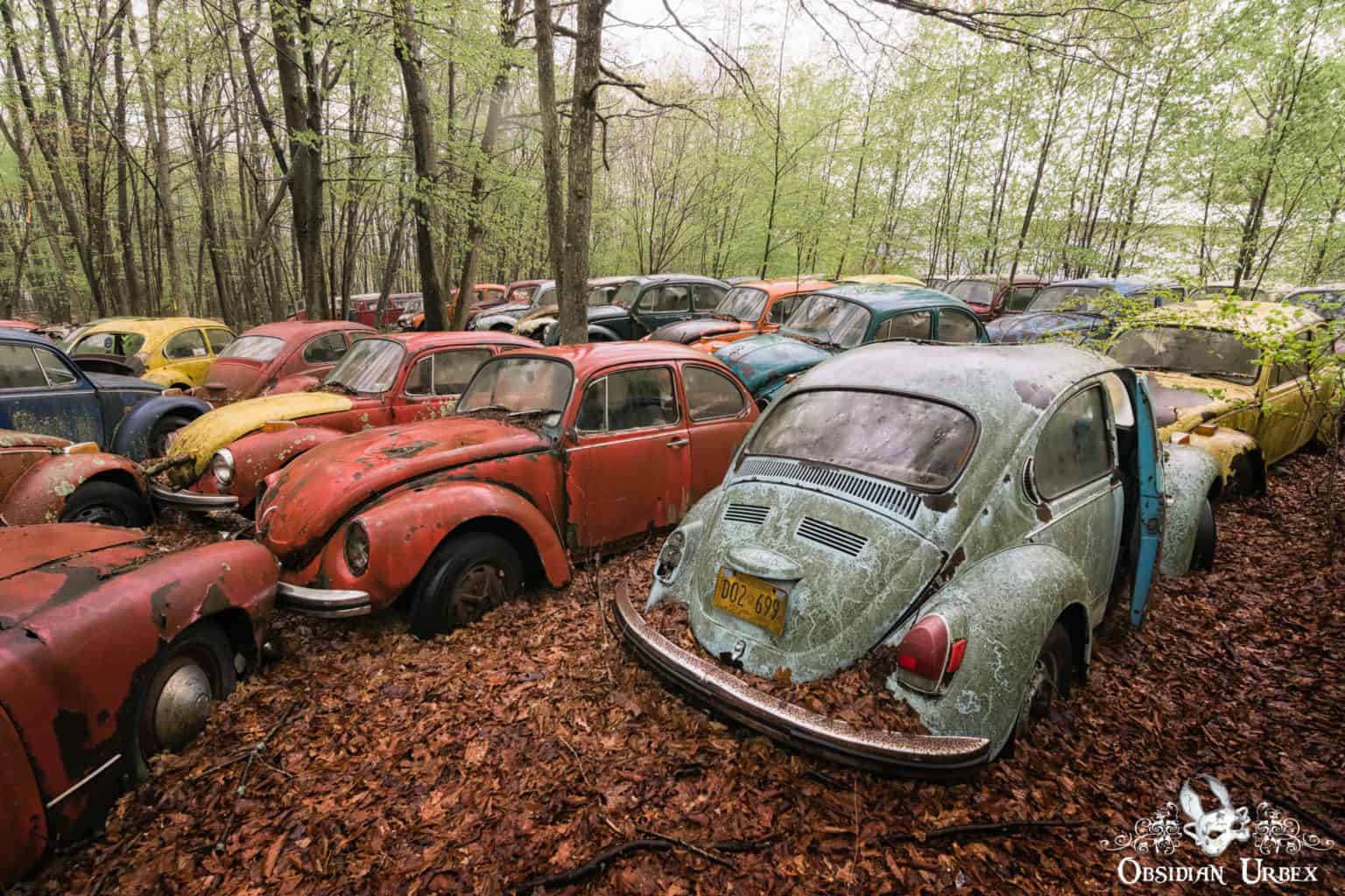 VW Beetle Car Graveyard, USA Obsidian Urbex Photography