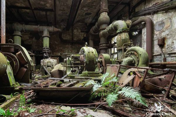 Powerplant X Luxembourg Ferns Gorwing Amongst Industrial Ruins
