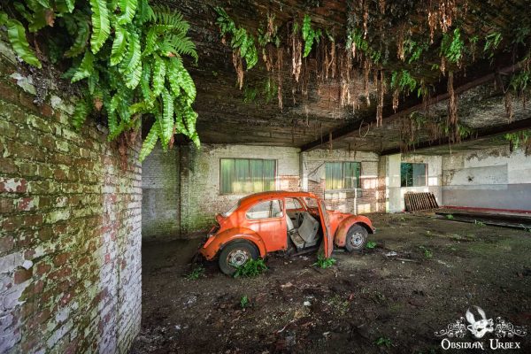 Garage Red Beetle Napoleon Bug Belgium Green Ferns And Abandoned Red Car