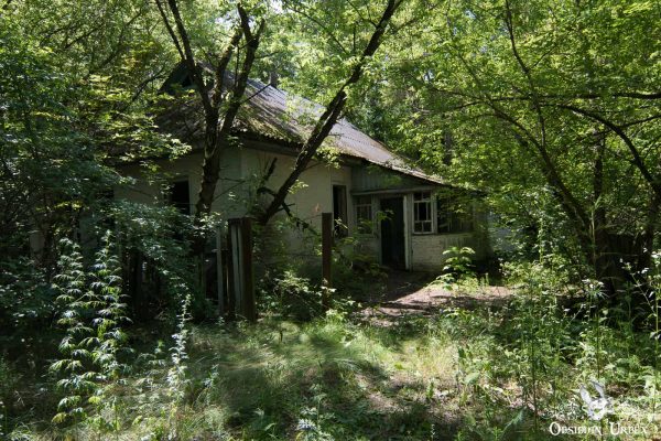 One Of Many Lost Villages In The Chernobyl Exclusion Zone