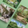 Greeting Cards Cards Reclaimed By Nature Series Urban Exploration Places Gift By Obsidian Urbex Photography Numbered Designs