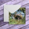 Greeting Cards Reclaimed By Nature Series Urban Exploration Places Gift By Obsidian Urbex Photography Card Reverse