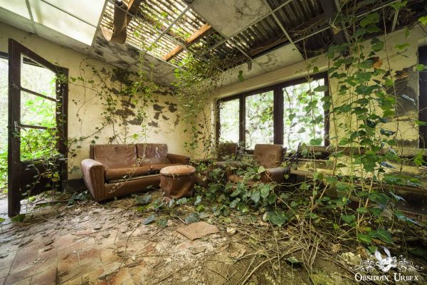 Maison Therese France Orange 1970s Sofas And Ivy