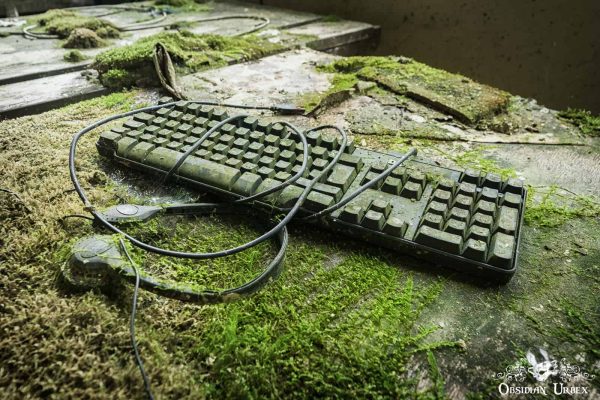 British Airways Training Facility England Keyboard And Headset With Moss