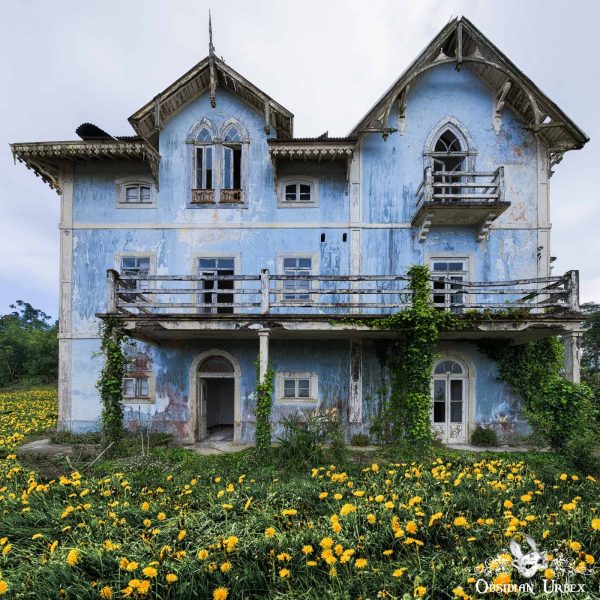 Casa Azul Chalet Do Conde Portugal Ivy Clinging To Abandoned House