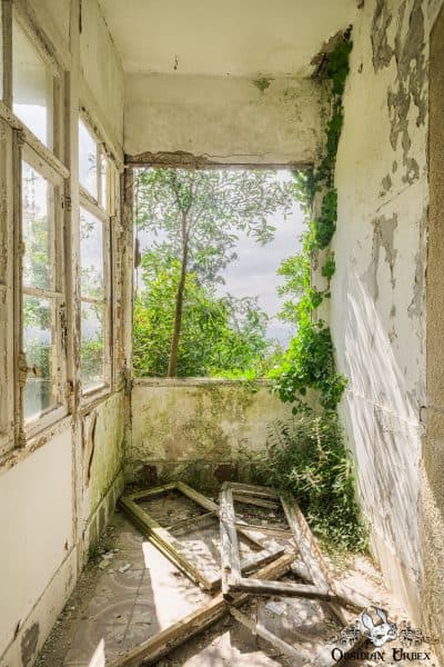 Casa Azul Chalet Do Conde Portugal Sun Room With Broken Windows And Plants