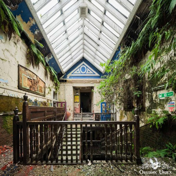 Abandoned Fern School Scotland Plants Growing In Damp Atrium