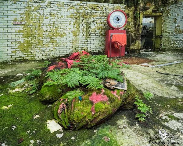 Hospital Laundry Ireland Moss And Fern Covered Bags And Scales