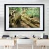 Whispering Chains Framed Framed Fine Art Print By Obsidian Urbex Photography On Office Wall