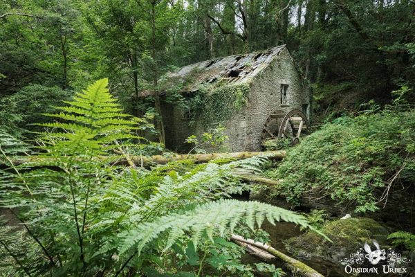 Old Tweed Mills Wales Collapsing Stone Building With Ferns