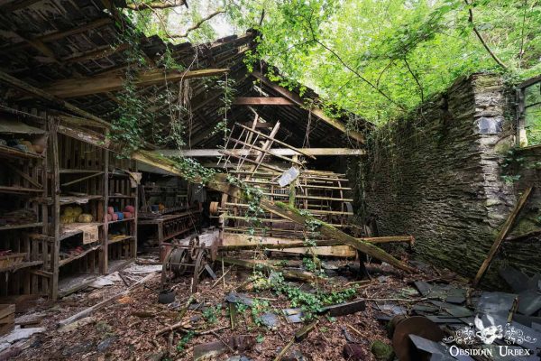 Old Tweed Mills Wales Collapsing Workshop With Ivy