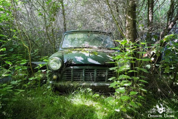British Classic Car Graveyard England Austin Or Morris Mini Pickup