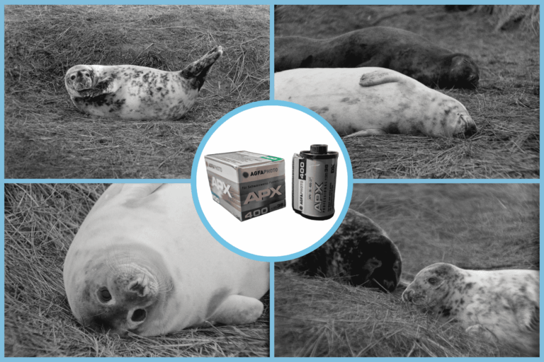 AgfaPhoto APX 400 35mm Film Review Featured Image