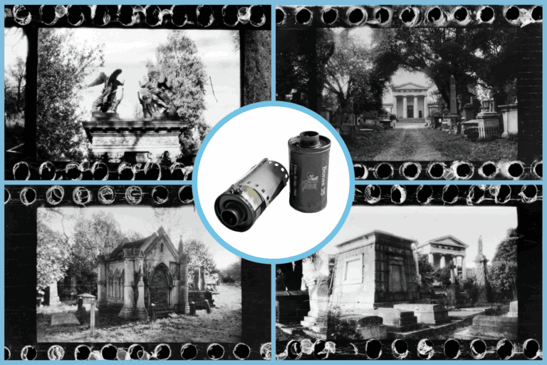 Bones 35mm Film Review Featured Image