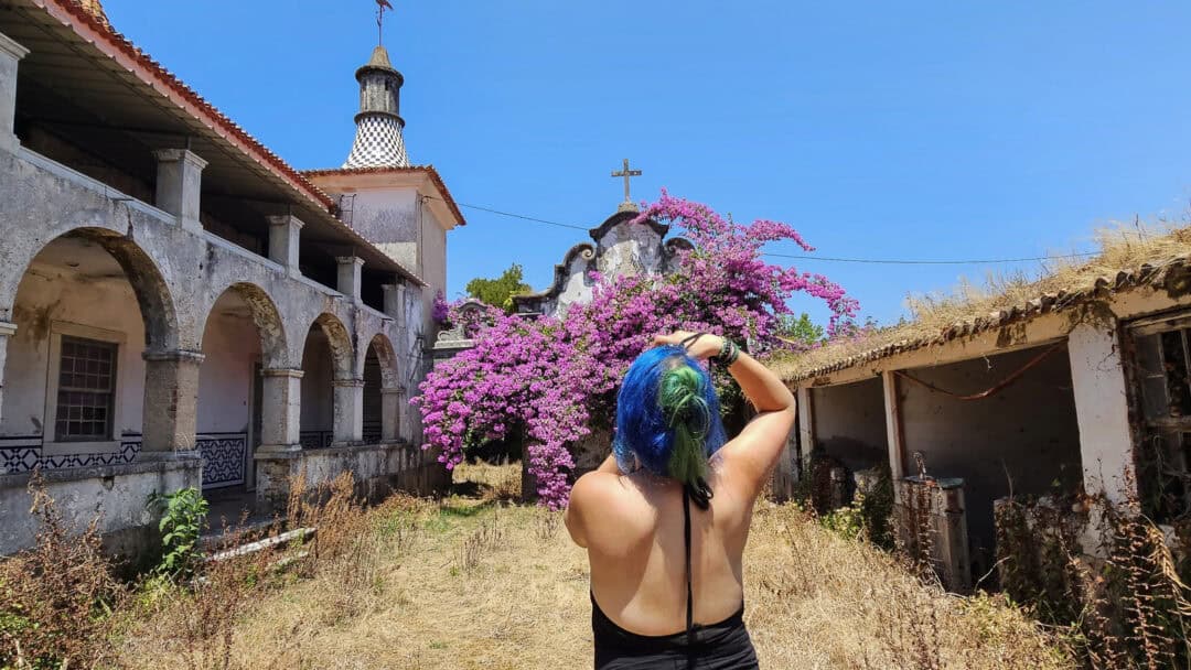 Portugal Road Trip 2024 The Thousand Mile Tour Janine Pendleton Pink Tree