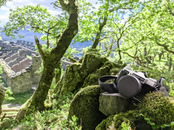 Goodbye 2025 Photo Highlights From This Years Adventures Zenit E Camera Near Ruins