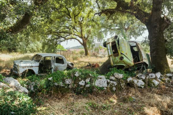 Fantastic Flying Fiats Portugal Featured Image